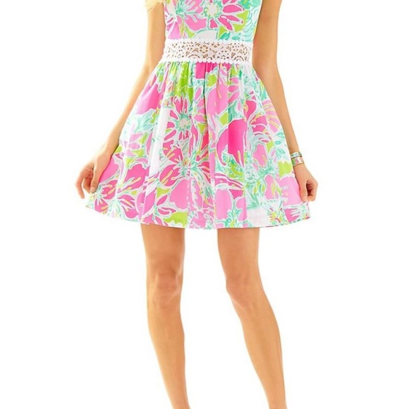 Lilly Pulitzer Rosemarie Dress - Picture 2 of 7